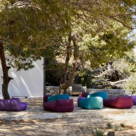 Casa Miel Willa